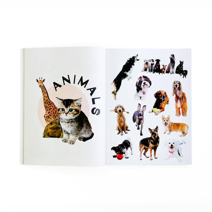 Collage Kit Vol. 2: 1000+ Images for Junk Journaling, Vision Boarding & DIY Crafts | 230-Page Creative Magazine with Perforated Pages, Prompts & Art Inspiration for Beginners & Pros (Volume 2)