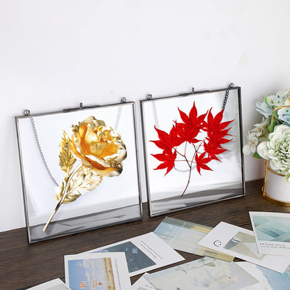 JUXYES 2 Pack Square Wall Hanging Brass Frames for Pressed Flowers, Double Glass Hanging Picture Artwork Display Frame, Black Floating Style Gallery Wall Frame for Picture, Poster, etc