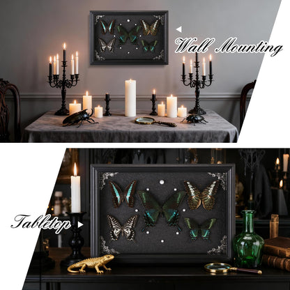 Real Framed Butterfly Taxidermy Collection - Set of 5 in Shadow Box Display - Natural Wood Frame with Museum Quality Preservation - for Home Decor, Wall Art, Gift