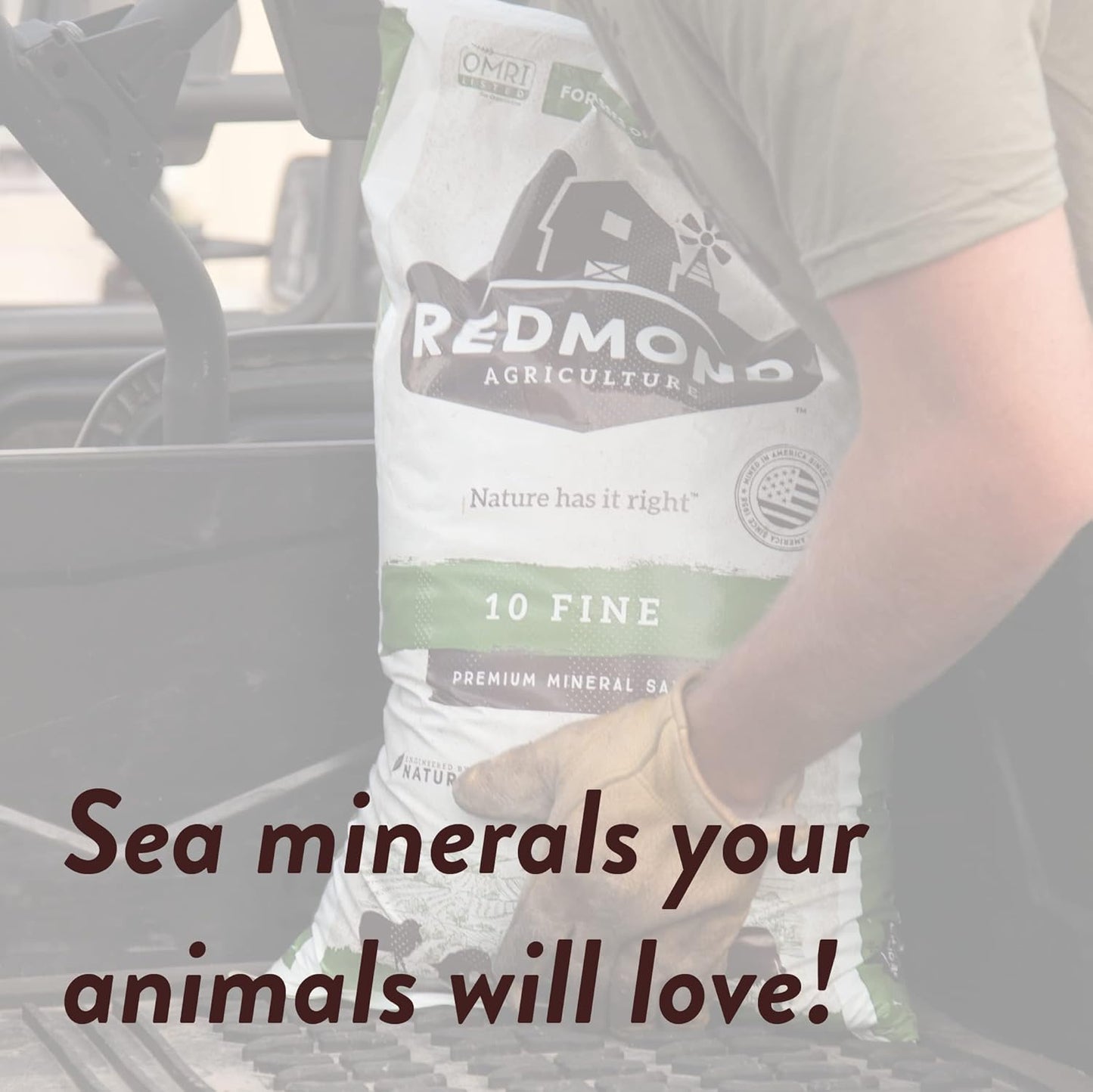 10 25 LB Redmond Fine Natural Livestock Mineral Salt Bag