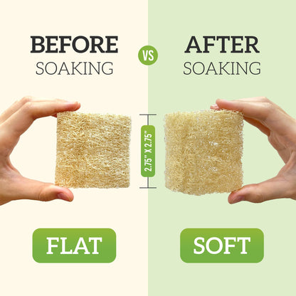 Miw Piw Natural Loofah Dish Sponge (Pack 30) Multipurpose Dish Sponges - 100% Biodegradable Compostable Dishwashing Scouring Pad Zero Waste (2.75" x 2.75" Each)