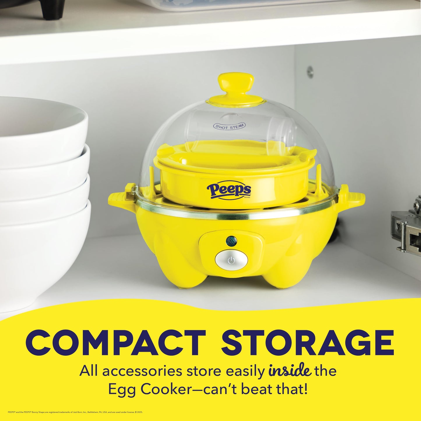 DASH Rapid Egg Cooker: 6 Egg Capacity Electric Egg Cooker for Hard Boiled Eggs, Poached Eggs, Scrambled Eggs, or Omelets with Auto Shut Off Feature - Aqua, 5.5 Inch (DEC005AQ)