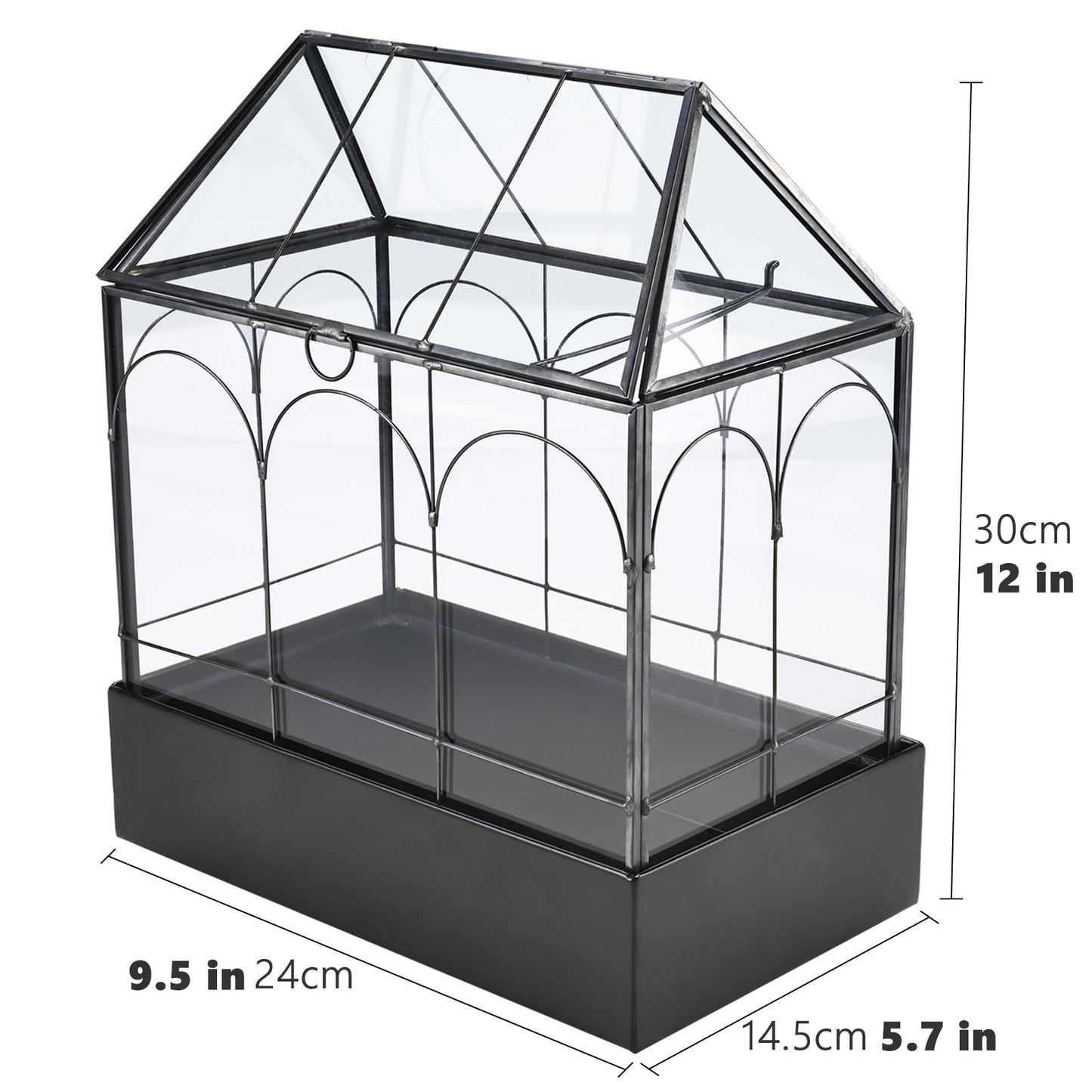 HighFree Glass Terrarium with Metal Tray, Glass Greenhouse Terrarium Kit for Succulents, Cacti, Snails, Spiders, and Miniature Reptiles, Black (Large-9.45" L x 5.7" W x 11.8" H)
