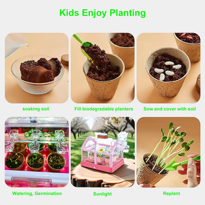 EXBEPE Kids Plant Growing Kit Greenhouse Growing Set Terrarium Kit Kids Science Educational DIY Plant Gardening Toy, Living Greenhouse with Solar Panel, Indoor Gardening Kit