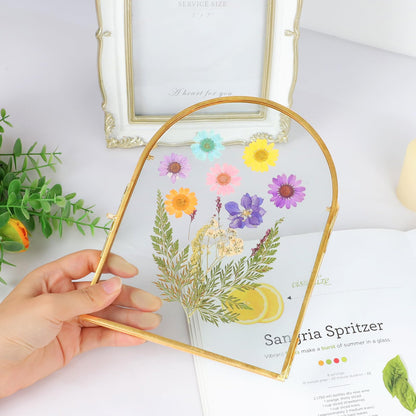 Himitimi Double Glass Frame for Pressed Flowers, 6x8 Inch Handmade Pressed Flower Frame Metal Floating Picture Frame for Tabletop Display DIY Artwork Home Decor(Arched, Gold)
