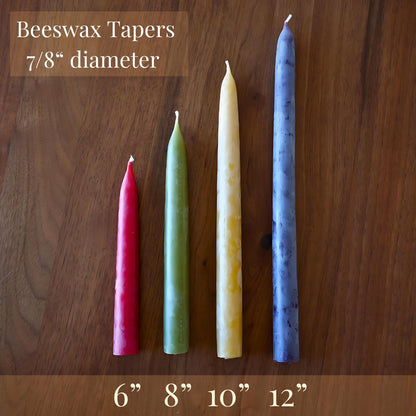 Candlestock Beeswax Taper Candles – Standard 7/8" Diameter, Pure 100% Natural USA Beeswax, Cotton Wick, Dripless, Long-Burning, Handmade in Woodstock, NY- 12 Inches - 1 Pair (2 Candles) - Sage