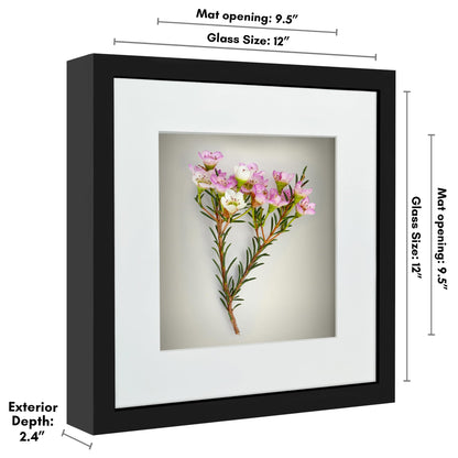 Americanflat 12x12 Shadow Box Frame with Shatter-Resistant Glass - Use as 10x10 Frame with Mat or 12x12 Without Mat - Silhouette Collection - Black with Soft Felt Back