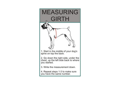 Doggie Stylz Set of 2 Reflective Service Dog Removable Patches with Hook Backing for Working Dog Harnesses & Vests. Durable and Interchangeable - (Large 6" X 2")