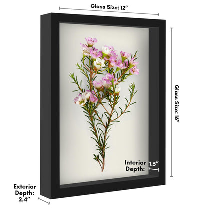 Americanflat 12x16 Shadow Box Frame with Polished Plexiglass - Silhouette Collection - Large Shadow Box Display Case for Tabletop and Wall Display - Black with Soft Felt Back