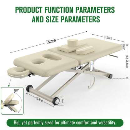pouseayar Heavy Duty Electric Massage Table, Electric Lift Motor and Manual Backrest Adjustable for Treatment/Medical Spa/Facial Bed/Beauty Bed and More - 31.2 Wide x 75 Long - Beige Gray