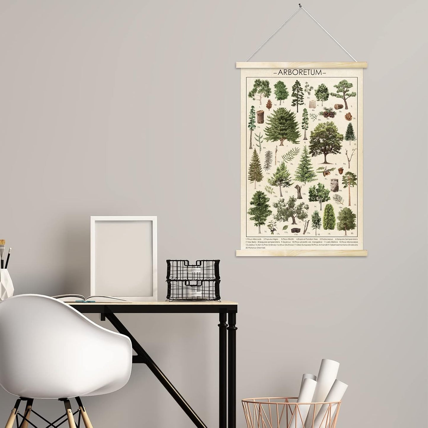 Tevxj Vintage Tree Poster Plant Wall Art Prints, Rustic Style Arboretum Wall Hanging Illustrative Reference Chart for
