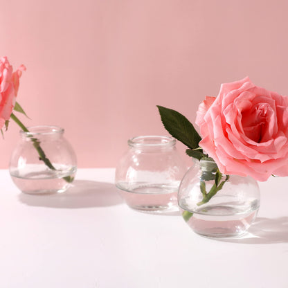 Magic Season Decorative Glass Bottles with Cork Stoppers (3.3 fl oz. Spherical Bottles / 12 Pcs)