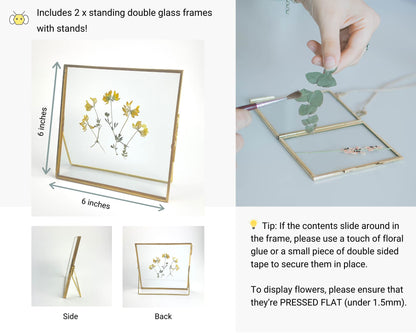 Beedecor Double Glass Frame for Pressed Flowers, Leaf and Artwork,Bronze 6x6 Standing Square Metal Picture Frames, Set of 2 Pressed Flower Frames with Stand (Antique bronze, 6x6)