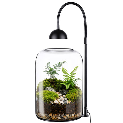 Xyingshine Glass Plant Terrarium with LED Grow Light & Adjustable Ventilation, 8.2" Desktop Terrarium for Venus Fly Trap, Moss & Succulents, Borosilicate Indoor Planter for Home Office Decor