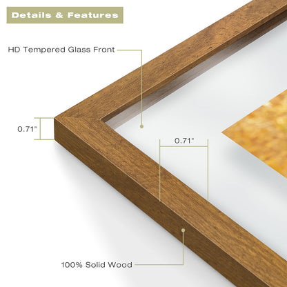 11x14 Floating Picture Frame - Brown Solid Wood Frame for Pressed Flower - Real Glass of Front - Use as 8x10 or 5x7 Picture Frame - for Wall Mount Display (Brown, 1 Pack)