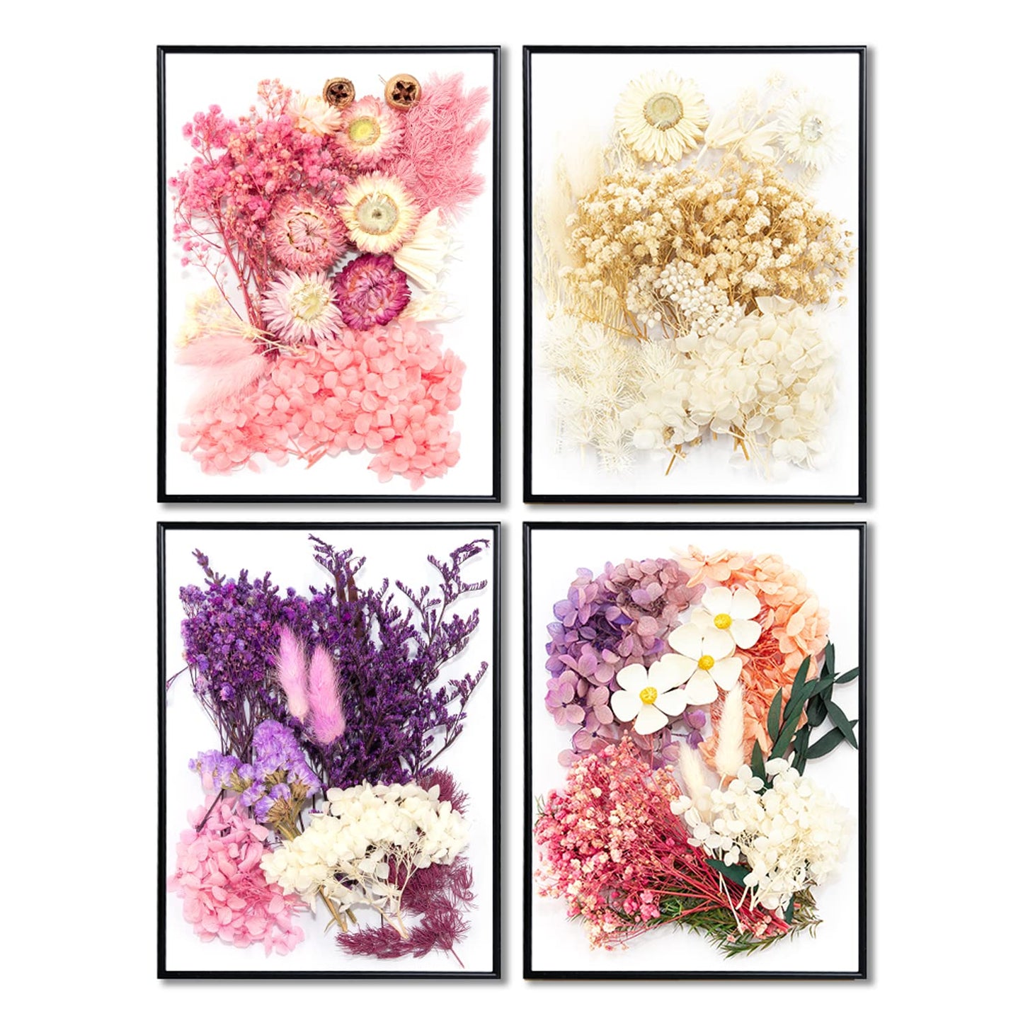 Vignee Real Dried Pressed Leaf Flowers-Multiple Colorful Pressed Flowers Daisies for Craft Resin Jewelry Making Art Craft DIY（White&Light Pink）
