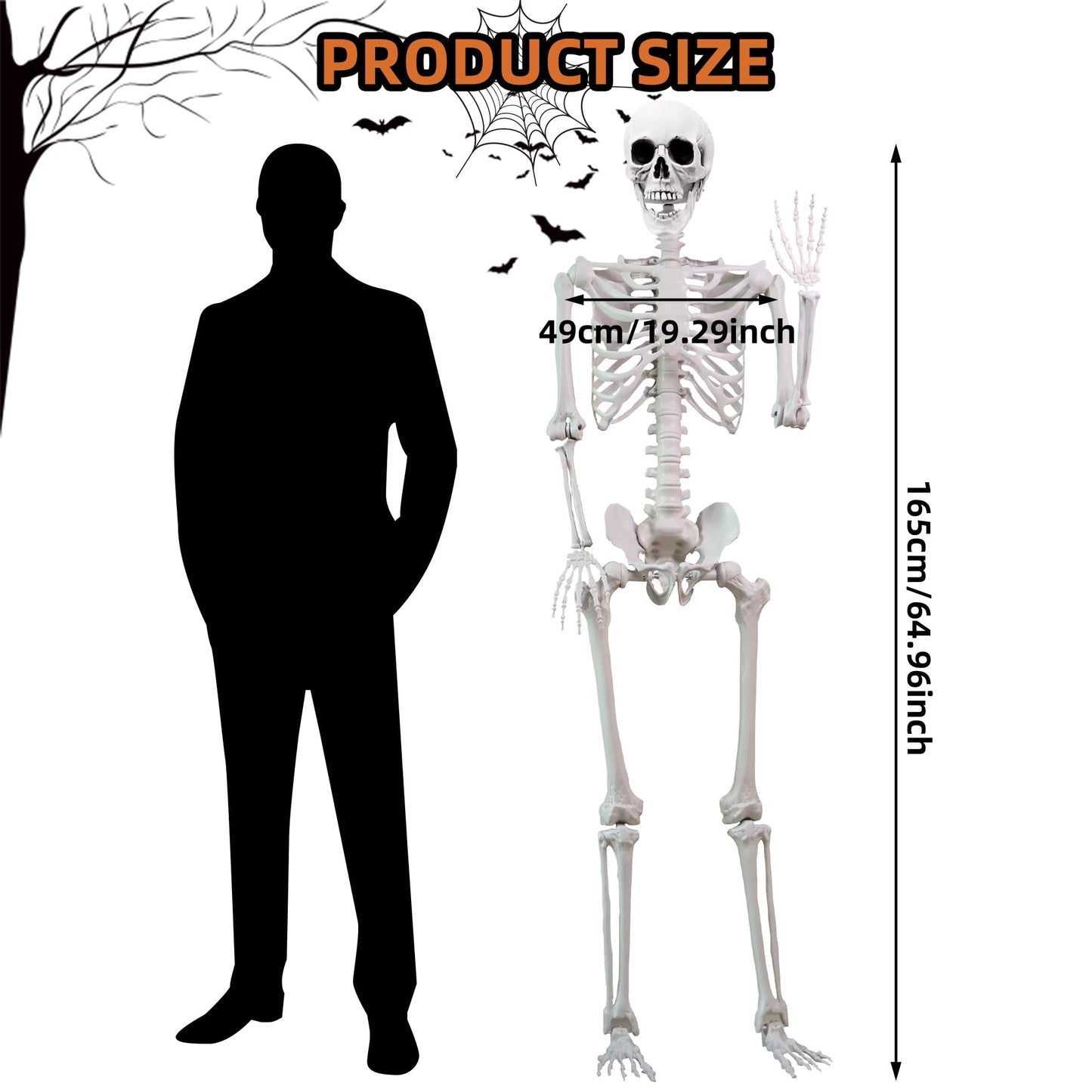 5.4 ft Halloween Skeleton Poseable Skeleton Life Size Skeleton Full Body Plastic Human Bones Standing Human Skeleton with Posable Joints for Halloween Decoration（1PCS