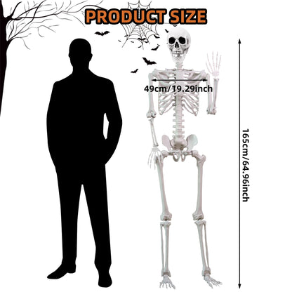 5.4 ft Halloween Skeleton Poseable Skeleton Life Size Skeleton Full Body Plastic Human Bones Standing Human Skeleton with Posable Joints for Halloween Decoration（1PCS