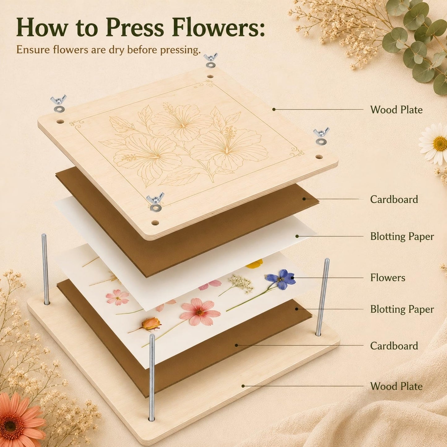 MeRGBWLife Flower Press - 11"x11" Wooden 10 Layer Flower Press Kit for Crafts Pressed Flowers & Plant Press, Scrapbooking, Bookmark Making, Wedding Bouquet Preservation, Dried Flowers