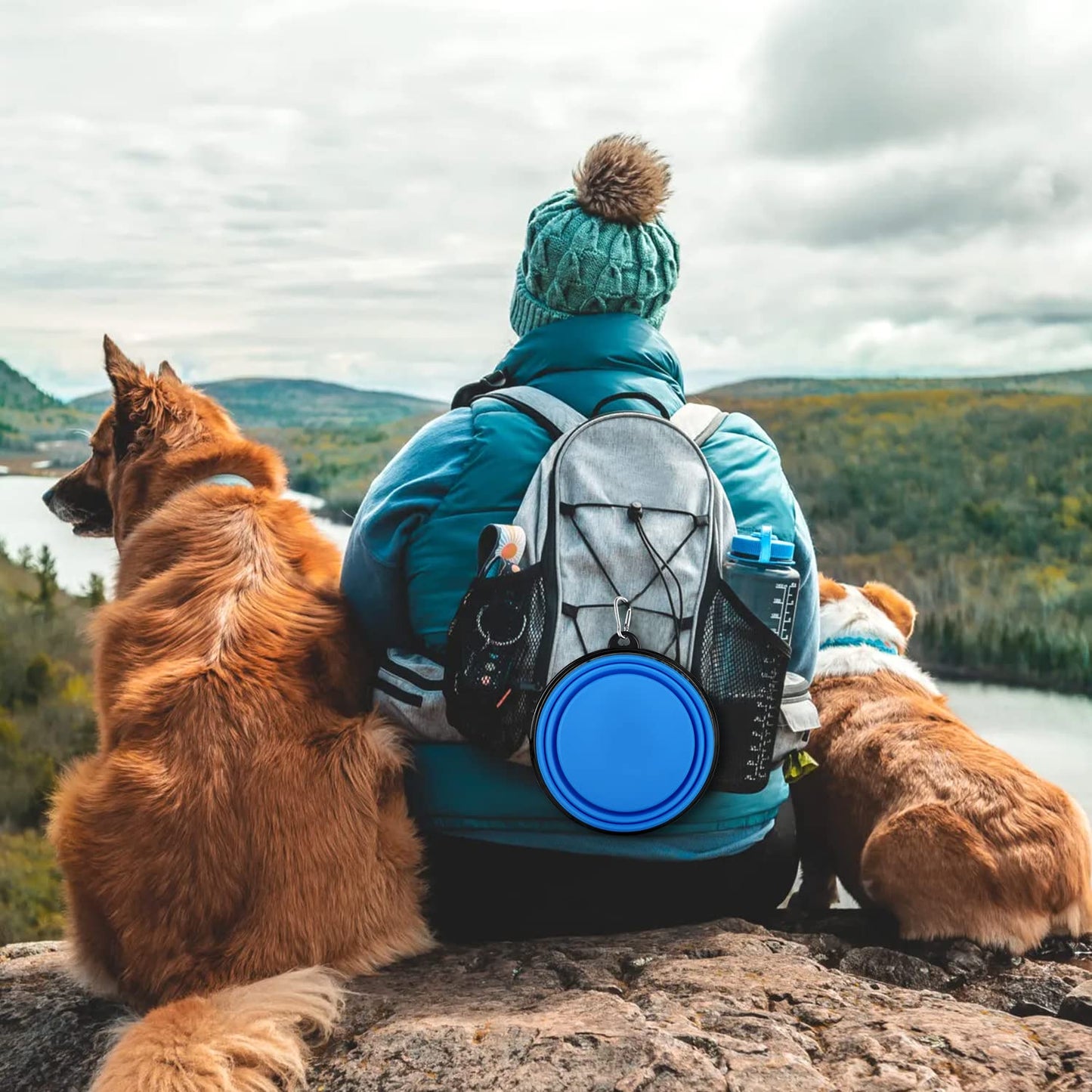 Collapsible Dog Bowls-2 Pack Large Size for Large/Medium Dogs, Pet Travel Water Bowl, Dogs Cat Portable Water Bowl, Dog Pet Feeding Watering Dish Outdoor Hiking Parking Traveling with 2 Carabiners