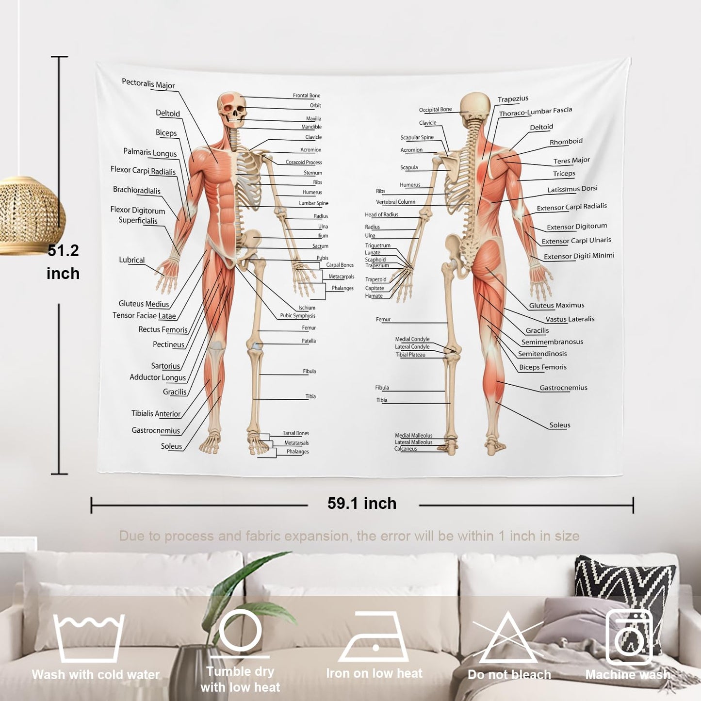 Batmerry Skeleton Tapestry, Body Human Skeleton Anatomy Backbone Biology Board Bone Picnic Mat Hippie Trippy Tapestry Wall Art Decor for Bedroom Living Room, 51.2 x 59.1 Inches, Human Anatomy