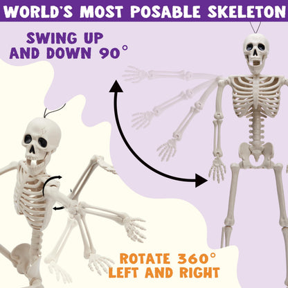 JOYIN 12 PCS 16" Halloween Skeleton Decor, Full Body Movable Stayable Joints Plastic Skeleton, Posable Hanging Skeletons for Halloween Decoration Indoor Outdoor, Graveyard Yard Party Decor