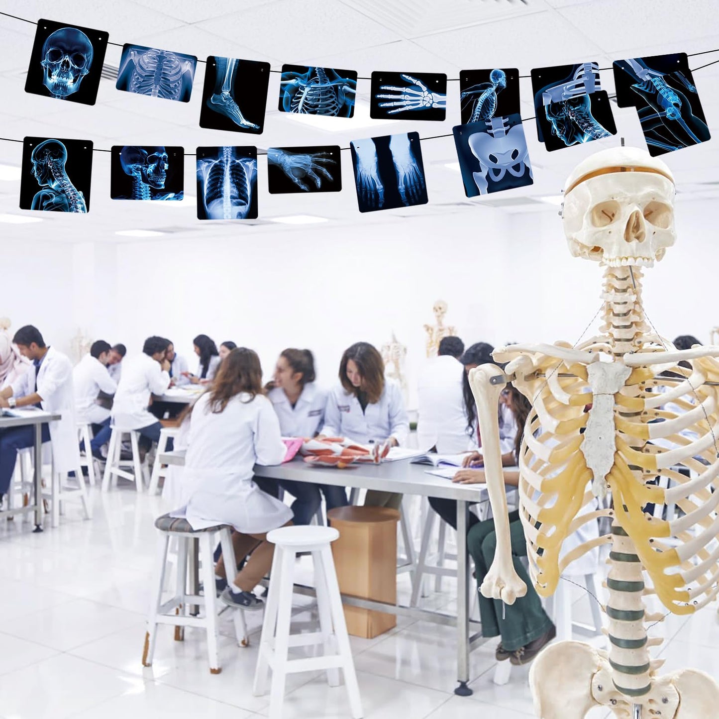 4 Strings X-Ray Skeleton Banner Decorations, Pre-Strung Medical Radiology Anatomy Garland with 24 X-Ray Body Part Images for Doctor Nurse Graduation, Halloween Party, Clinic Classroom Science Décor
