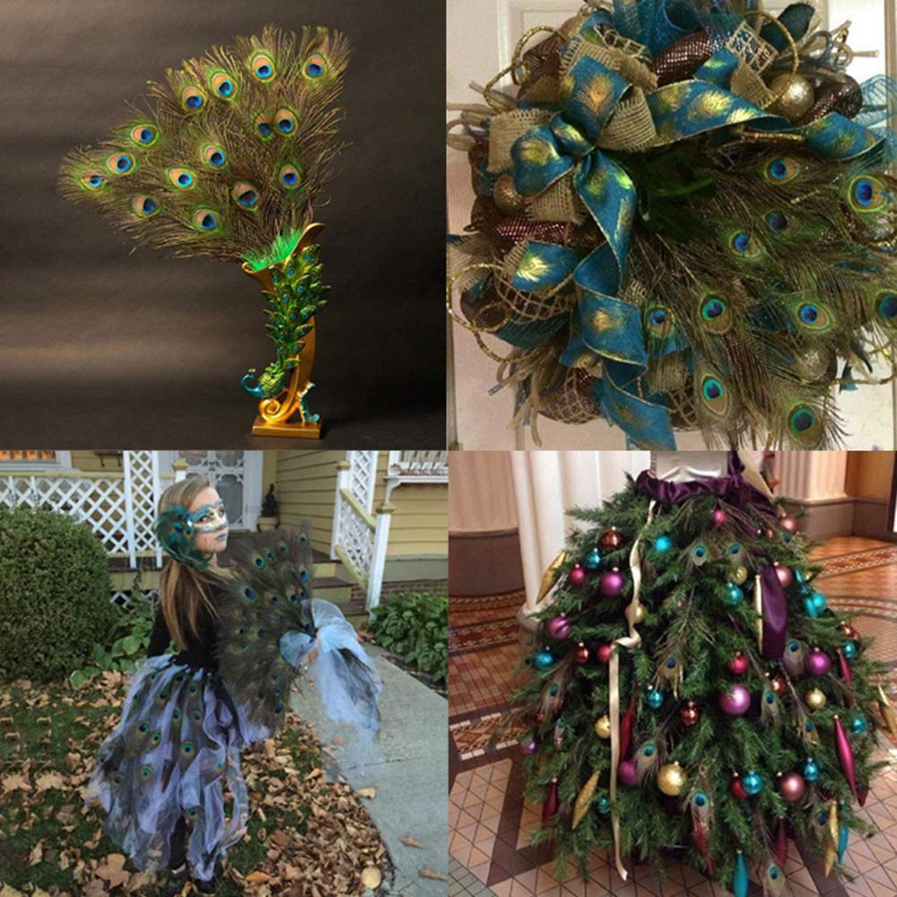 60 PCS Real Natural Peacock Eye Feathers 10-12 inch for DIY Craft, Wedding and Holiday Decorations