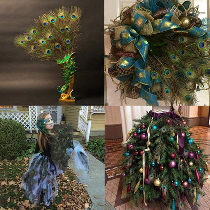 60 PCS Real Natural Peacock Eye Feathers 10-12 inch for DIY Craft, Wedding and Holiday Decorations