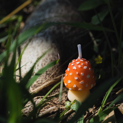 Birthday Mushroom Candles for Party Supplies and Wedding Favor