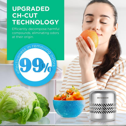 Skiennix Refrigerator Deodorizer - Long-Lasting Odor Eliminator | Silver Grey Design