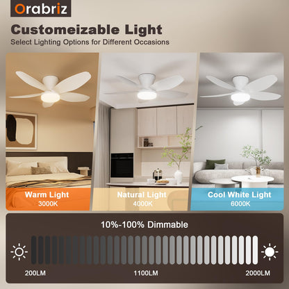 Orabriz 35 Inch Ceiling Fan with Lights and Remote Control,Quiet 6 Speeds Wind Modern Low Profile Fan Light with DC Reversible Motor, Dimmable Ceiling Fan for Bedroom Room Indoor/Outdoor Use, White
