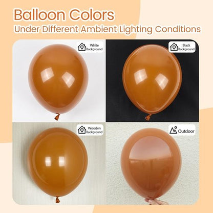 Burnt Orange Balloons | 12-Inch Latex Balloons - 50 Pack for Fall-Themed Events & Celebrations
