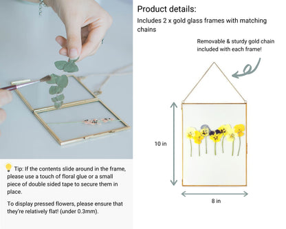 Beedecor Double Glass Frame for Pressed Flowers, Leaf and Artwork - Set of 2 Hanging Picture Frames, Tempered Glass Floating Pressed Flower Frames, Large Rectangular Wall Decor Photo Display, Clear Metal Glass Frames with Chain (8x10, Gold)