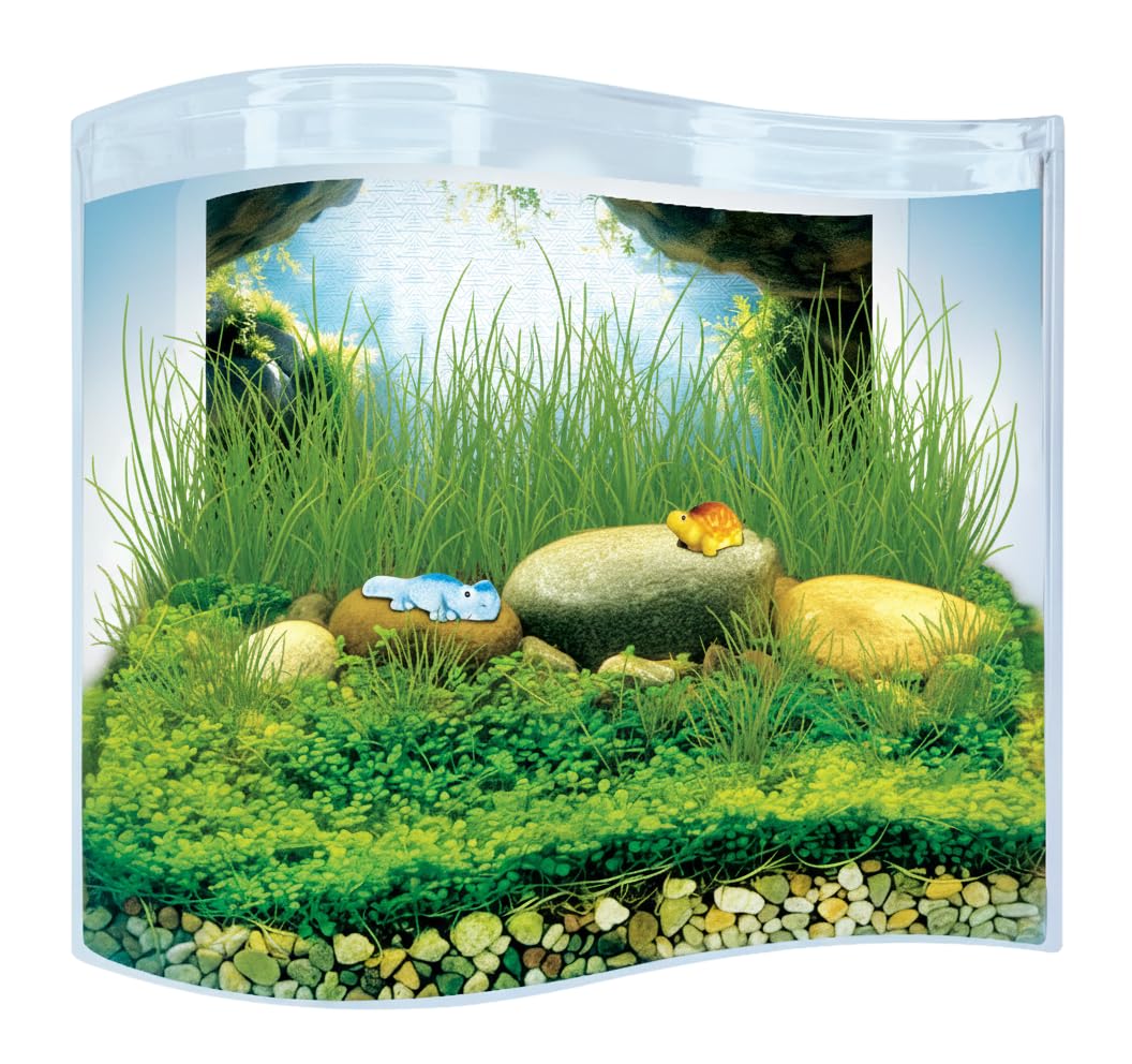 Toys By Nature Freshwater Oasis Garden, Mini Wave Terrarium Kit with Aquatic Seeds and Real Water Plant, Beginner-Friendly Terrariums and Live Indoor Plants Decor
