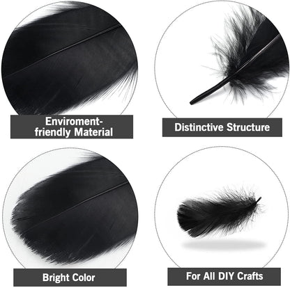 MWOOT 400Pcs Black White Feathers, 4 Assorted Crafts Feathers for Halloween Costume Wings Dream Catchers DIY Christmas Tree Wreath Wedding Decor Art Handmade