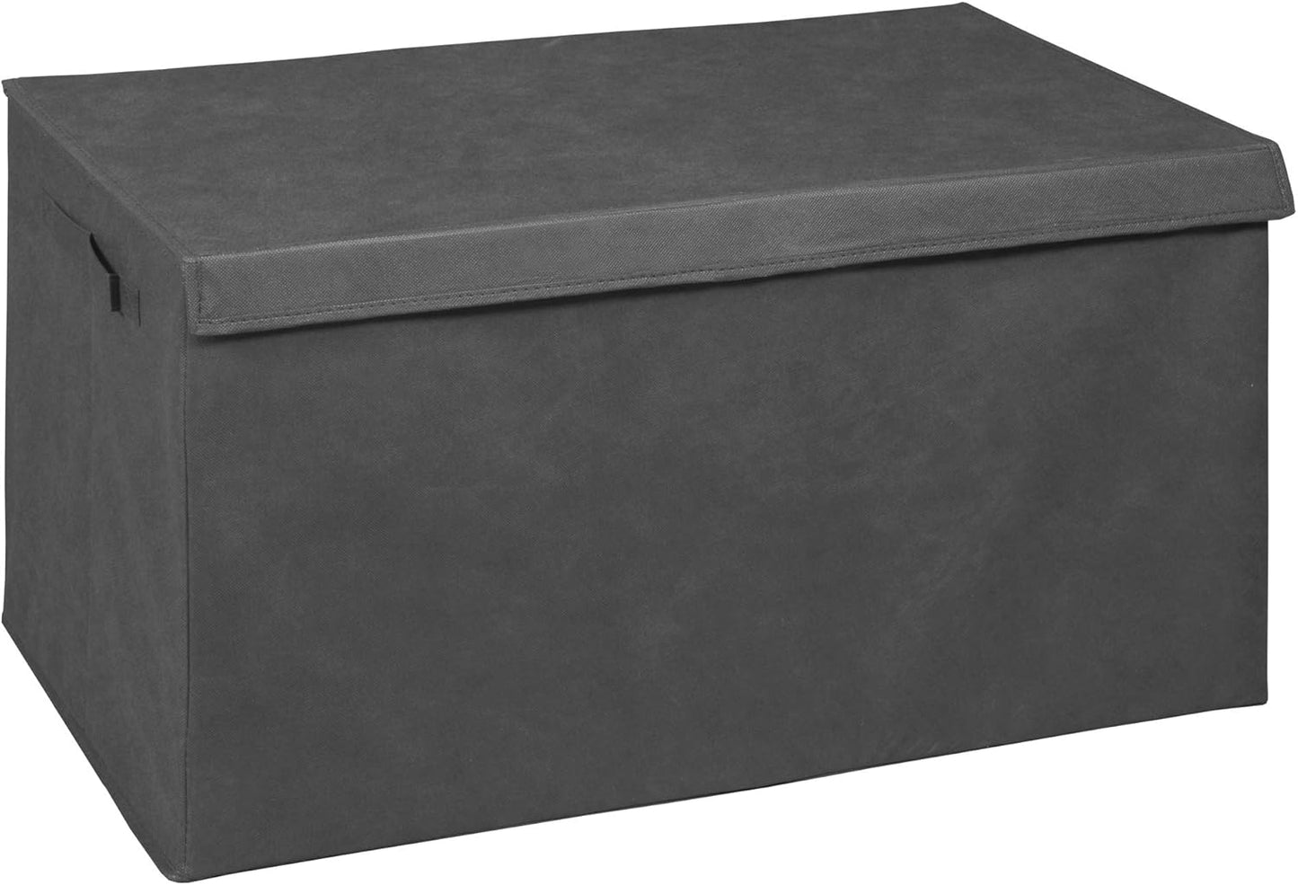 Niche Cubo Foldable Fabric Storage Trunk with Label Holder - Grey
