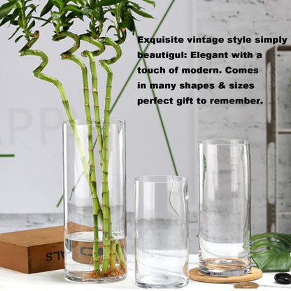 EylKoi Cylinder Vase Bulk Clear 40 Pack Cylinder Vases for Centerpieces Glass Vases for Flowers Hurricane Floating Candle Holder, Home Decor Wedding, 4''+6''+8''+10''(High)