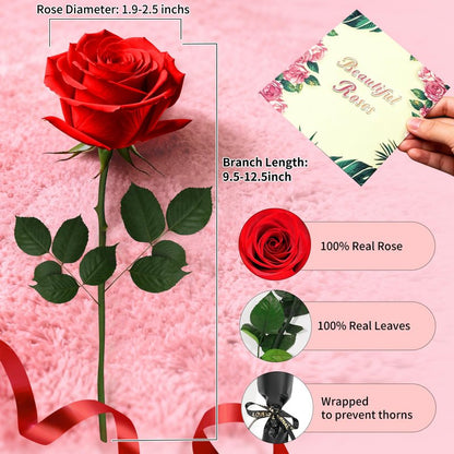 Leebean Single Forever Roses Luxury Gift for Women/Men, Birthday Gifts for Women,Flowers Gifts for Girlfriend,Wife,Mom,Anniversary,Valentine's Day,Wedding,Graduation,Presents for Her,Red