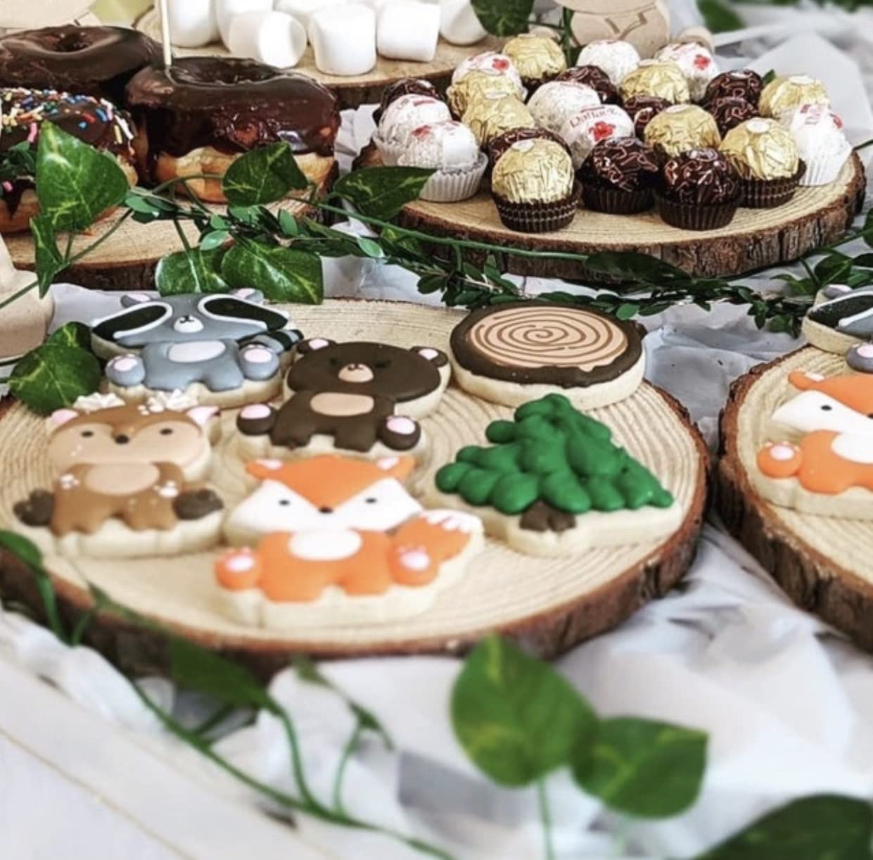 Set of (10) Medium 9-11" Wood Slices for Centerpieces! Wedding and Baby Shower centerpieces (Set of 10 Medium (9-11"))