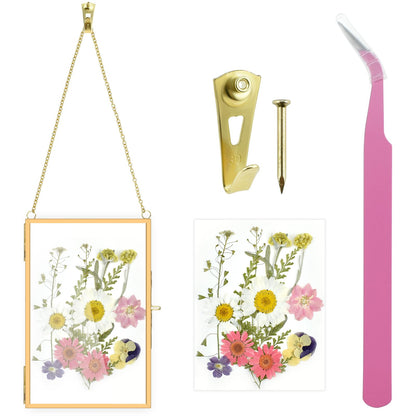 Pressed Flower Frames with Hanger & Tweezer & Dried Flowers, 4 x 6 Inch Wall Double Glass Floating Hanging Picture Photo Frame with Chain for Wall Decor and Display, Hanging Picture or Artwork (Gold)