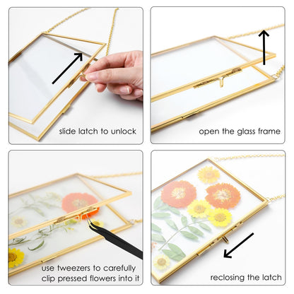 IcosaMro 3 Pack Double Glass Frame for Pressed Flowers 4"x 6" Adult Craft Kits with Brass Glass Frames & 4 Sheets Pressed Flower, Window Hanging Wall Decor Frame for Dried Flowers Leaves Plants