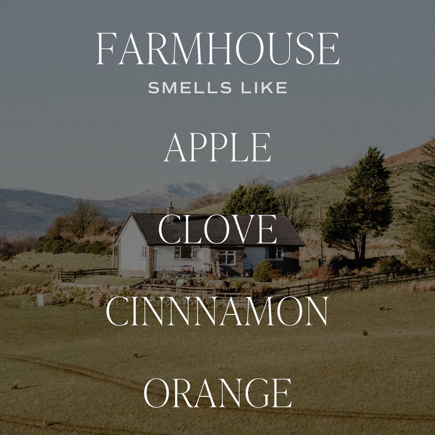Sweet Water Decor Farmhouse Scented Soy Candles – Apple, Orange, Pumpkin, Cinnamon, Nutmeg, Ginger, Vanilla – Cozy Aroma – 50 Hour Burn – 12oz Tinted Glass Jar for Home Decor and Bedroom Decor