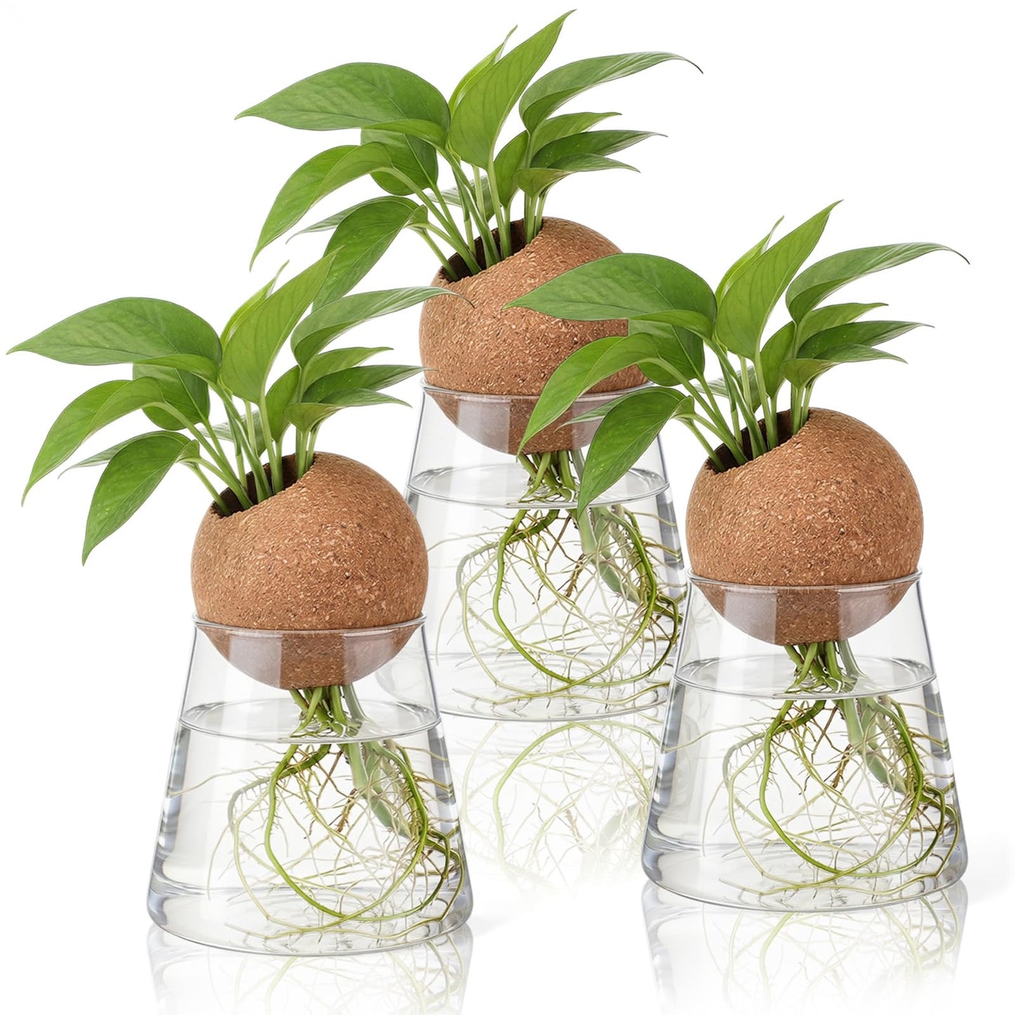 Baderke 3 Pcs 3.15 Inches Glass Plant Propagation Stations with Spherical Lid Glass Jars Plant Propagation Vases Hydroponic Spherical Cork Planter for Indoor Home Office Desktop Decor(Conical)