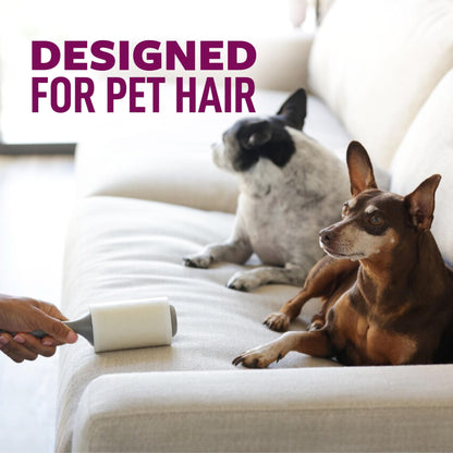 Scotch-Brite Pet Extra Sticky Large Surface Roller, Designed for Pet Hair, 60 Sheets