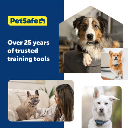 PetSafe 900 Yard Remote Training Collar Choose from Tone, Vibration, or 15 Levels of Static Stimulation Longest Range Option for Training Off Leash Dogs Waterproof and Durable Rechargeable