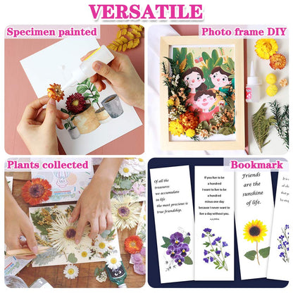 Vignee Real Dried Pressed Leaf Flowers-Multiple Colorful Pressed Flowers Daisies for Craft Resin Jewelry Making Art Craft DIY（White&Light Pink）