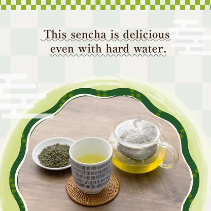 Sencha Green Tea – Organic Japanese Green Tea Loose Leaf, 80g Organic Loose Leaf by HAJIME