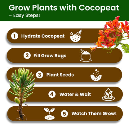 Bonsai Tree Kit for Beginners - 5 Unique Japanese Bonsai Seeds, DIY Indoor Gardening Crafts for Adults | Valentine's, Mother's Day & Birthday Gifts for Women and Men | Complete Starter Kit with Tools