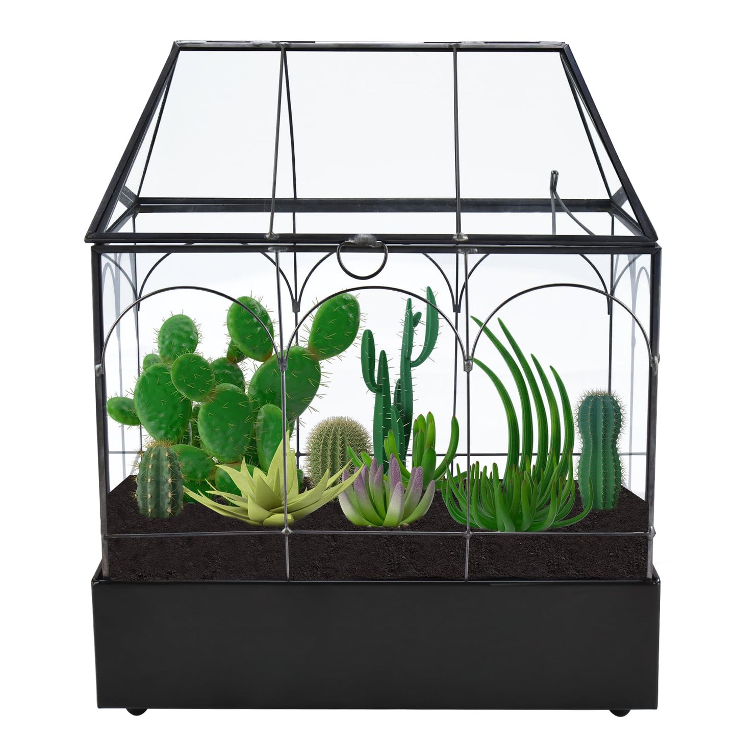 HighFree Glass Terrarium with Metal Tray, Glass Greenhouse Terrarium Kit for Succulents, Cacti, Snails, Spiders, and Miniature Reptiles, Black (Large-9.45" L x 5.7" W x 11.8" H)